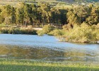 DSCN5385