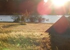DSCN5386