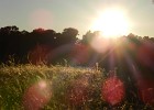 DSCN5387