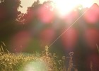 DSCN5388