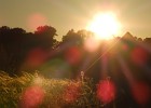 DSCN5390