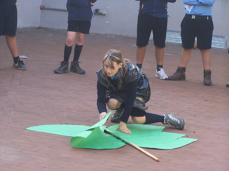 100_2902.JPG