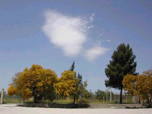 Click to see next picture