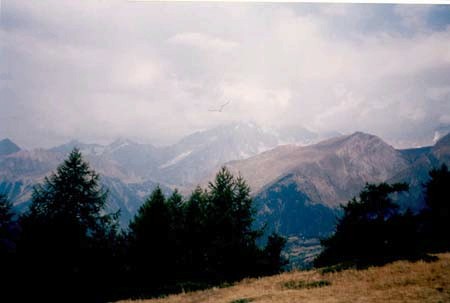 Click to see next picture