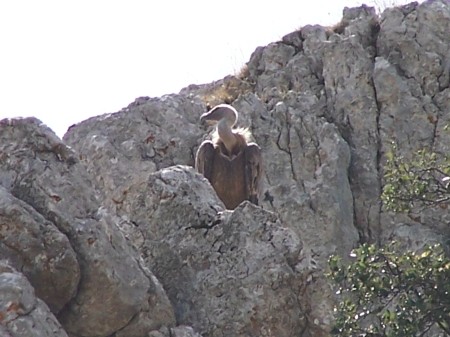 Click to see next picture