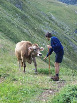 Immagine 046.jpg