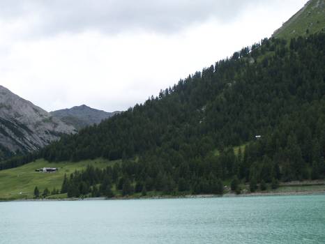 Immagine 134.jpg