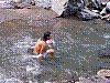Immagine 196.jpg