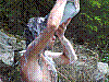 Immagine 203.jpg