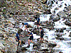 Immagine 244.jpg