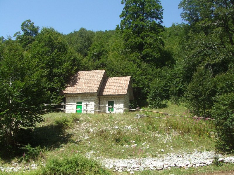 179.JPG