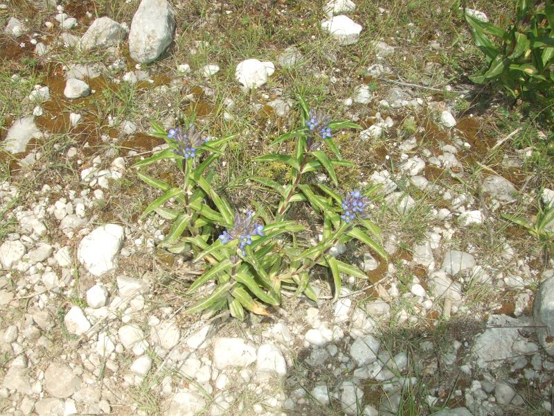 190.JPG