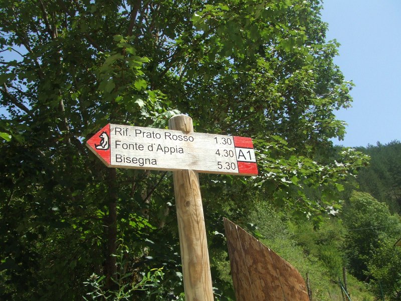 191.JPG