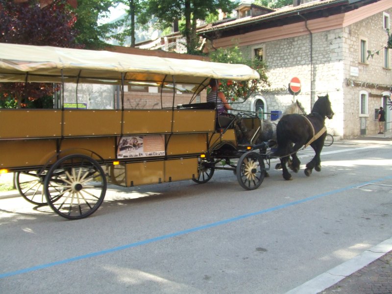 215.JPG