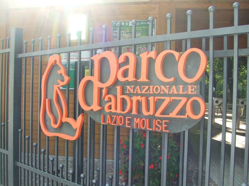 220.JPG