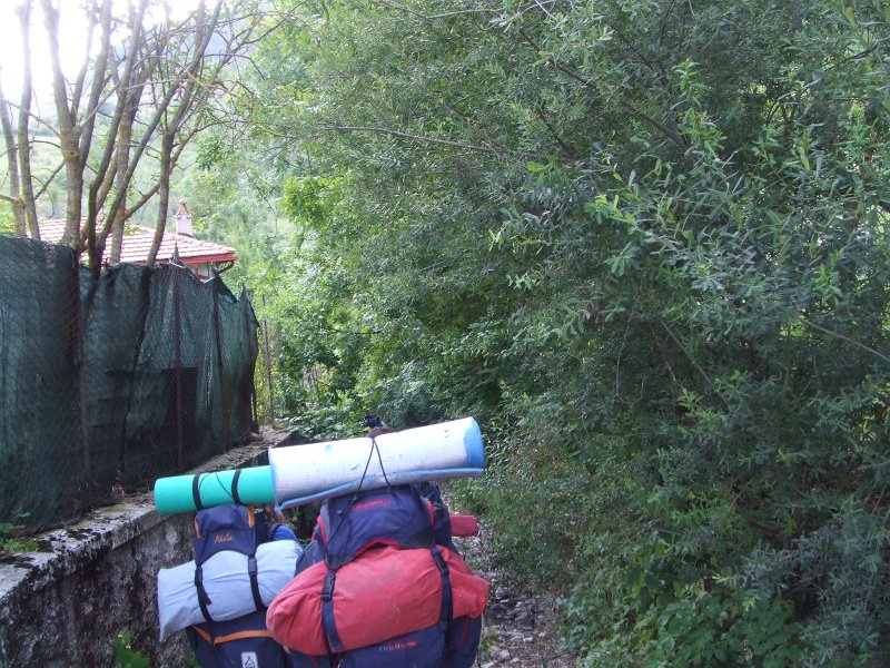349.JPG