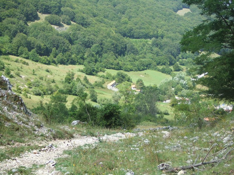 358.JPG