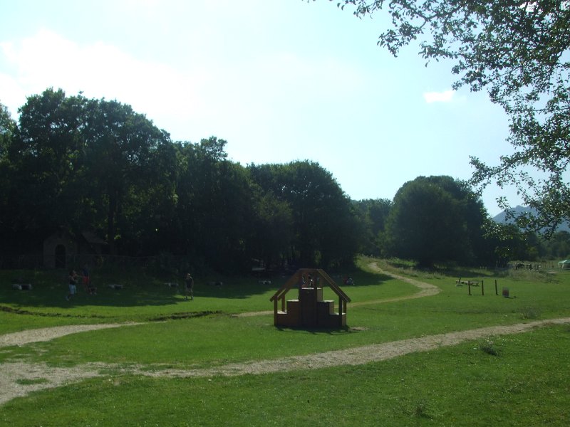 441.JPG
