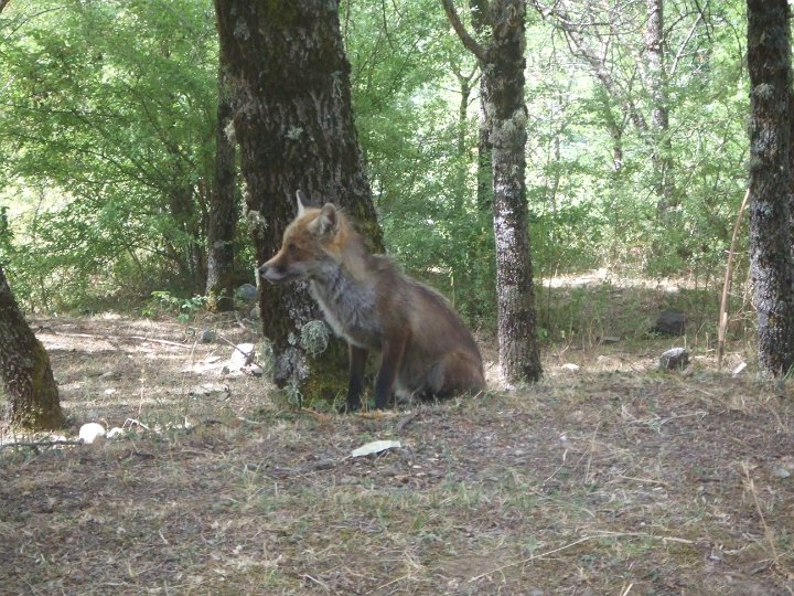 DSCF5792.JPG