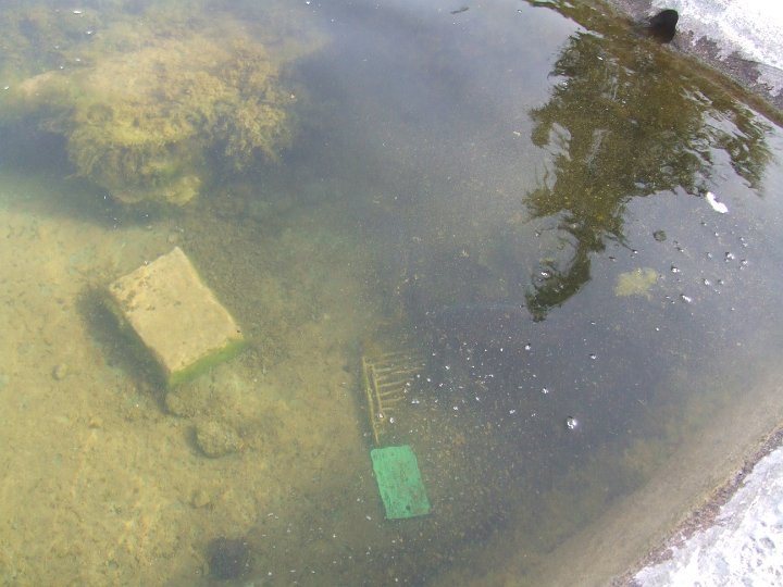 DSCF5802.JPG
