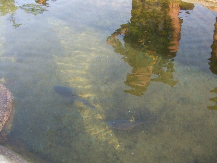 DSCF5803.JPG