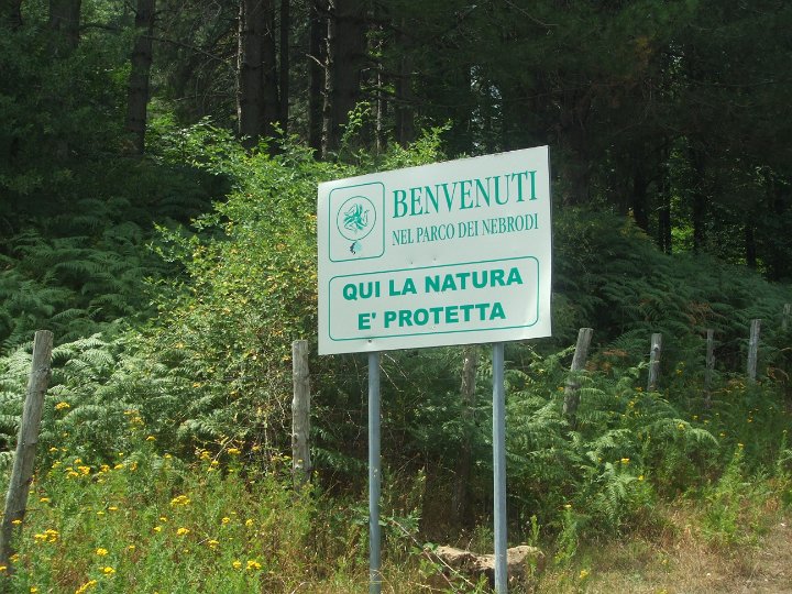DSCF5852.JPG