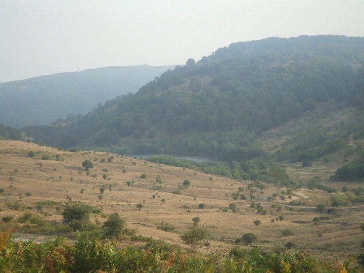 DSCF5853.JPG