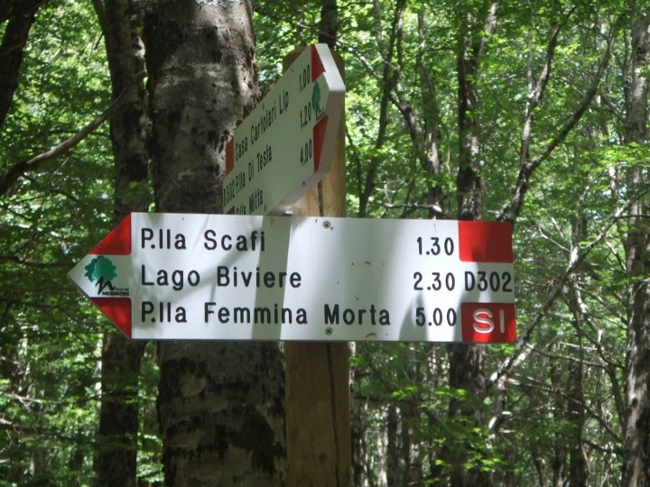 DSCF5896.JPG