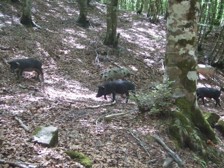 DSCF5901.JPG