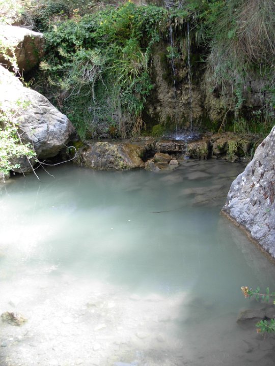 DSCN2665.JPG
