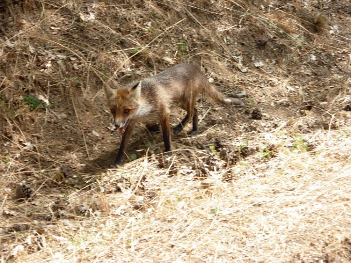 DSCN2671.JPG