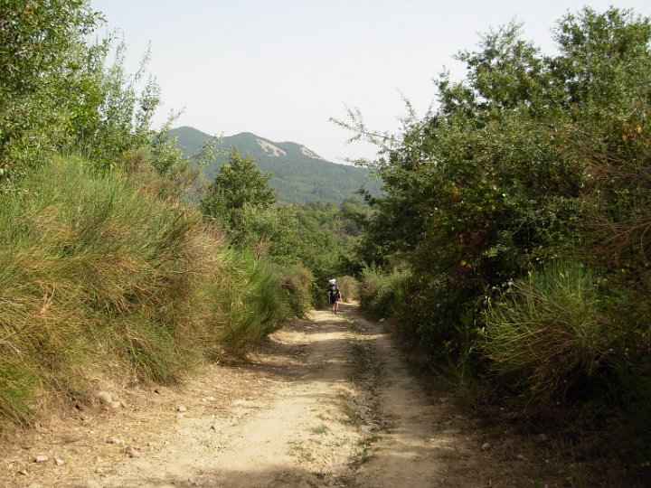 DSCN2702.JPG