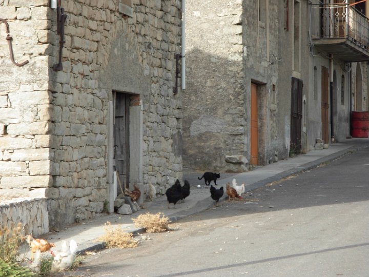 DSCN2710.JPG