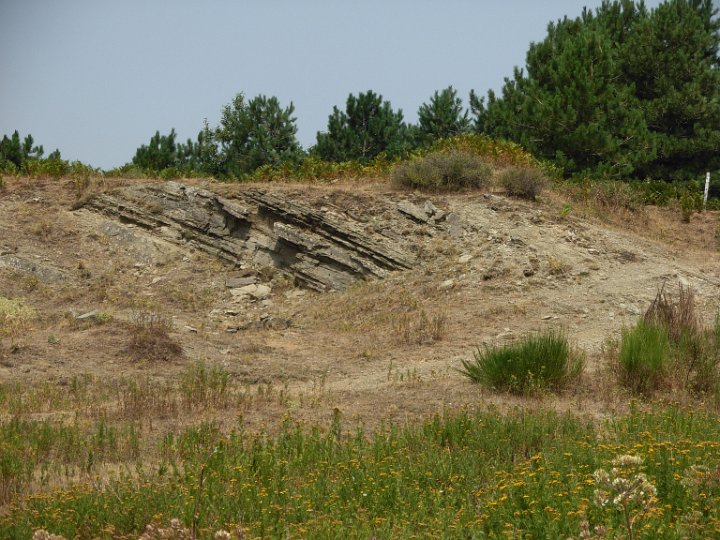 DSCN2755.JPG