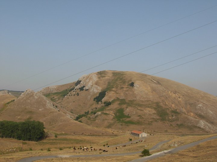 DSCN2770.JPG