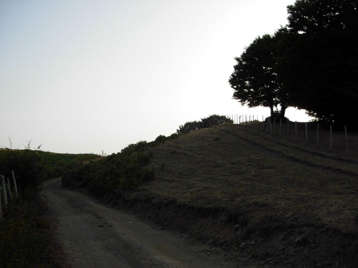 DSCN2786.JPG