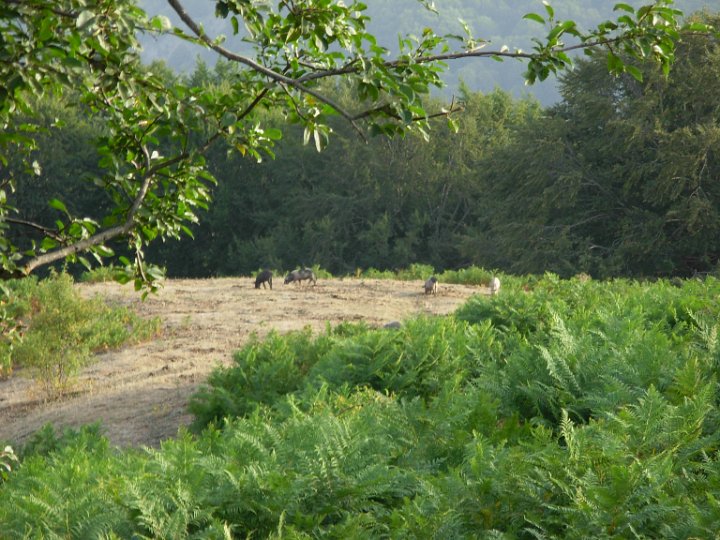 DSCN2788.JPG