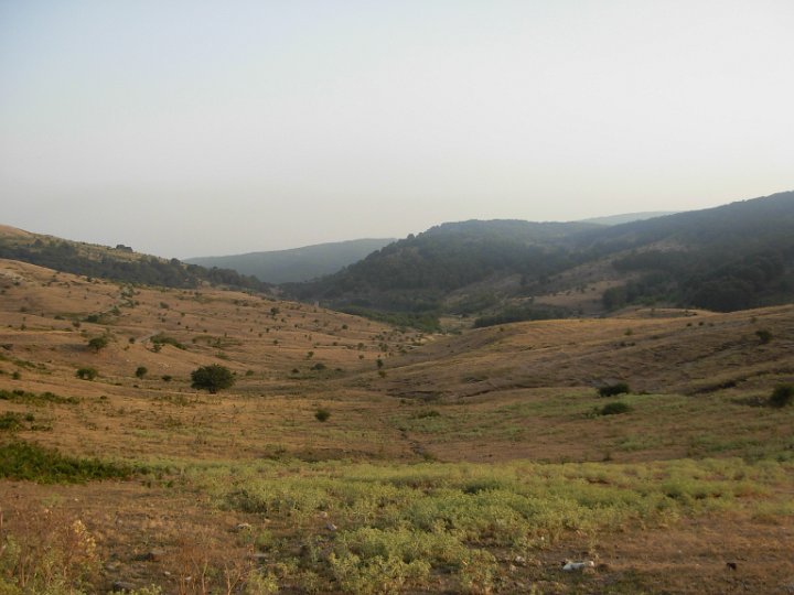 DSCN2803.JPG