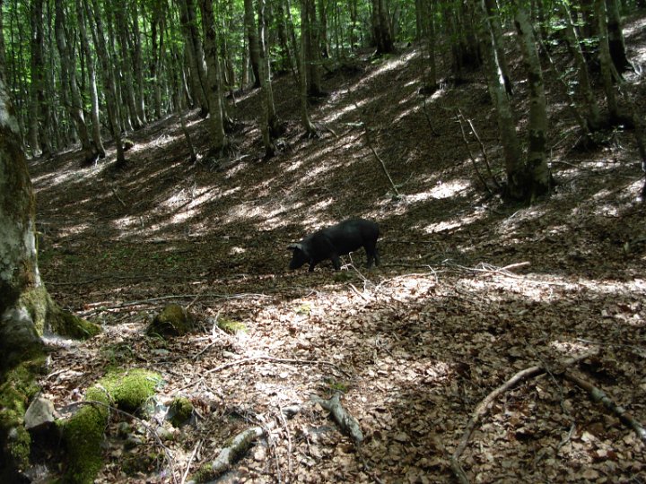 DSCN2861.JPG