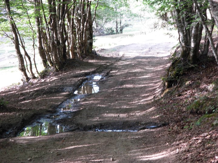 DSCN2874.JPG