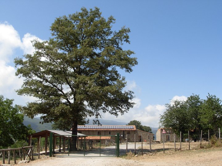 DSCN2896.JPG