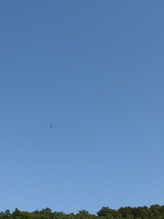 DSCN2915.JPG