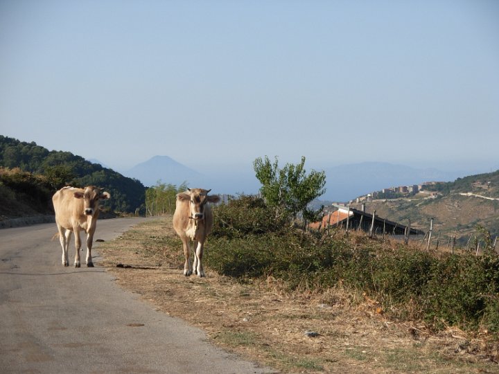 DSCN2946.JPG