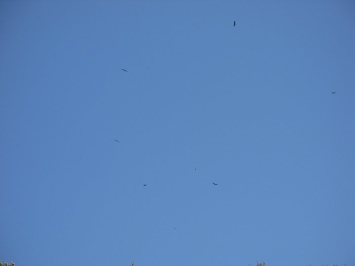DSCN2985.JPG
