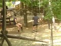 DSC07078