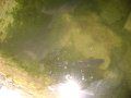 DSC07106