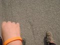 DSC07140