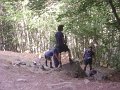 DSC07164