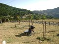 DSC07205