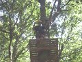 DSC07231